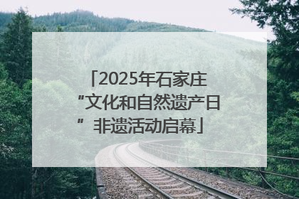 2025年石家庄“文化和自然遗产日”非遗活动启幕